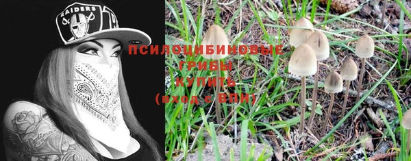 2c-b Нефтегорск