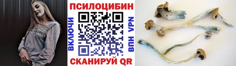 наркота  Новотроицк  площадка формула  Галлюциногенные грибы Cubensis 