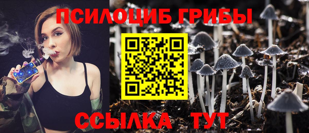Новотроицк  Галлюциногенные грибы Psilocybine cubensis  Вход с VPN 